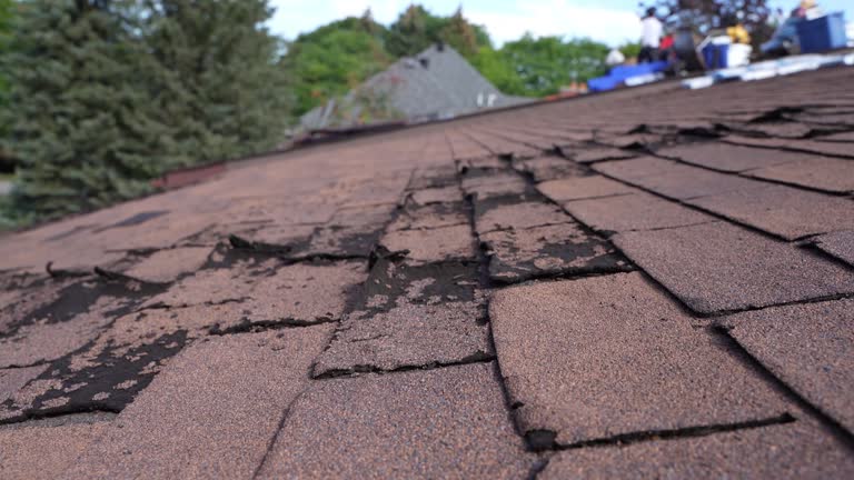 Best Roof Leak Repair  in Canton, PA